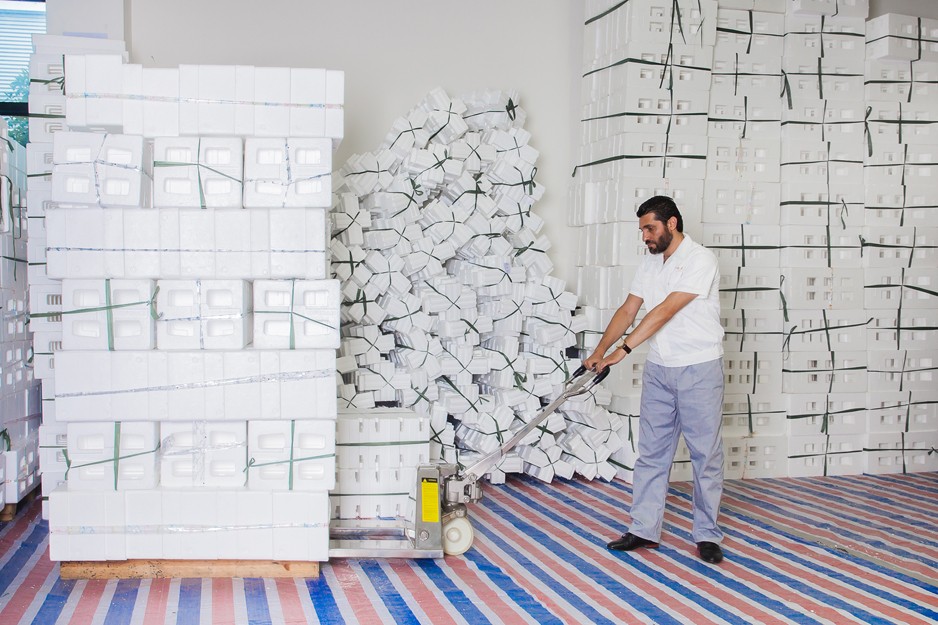 1438936249130726.jpg IMG_0326.jpg